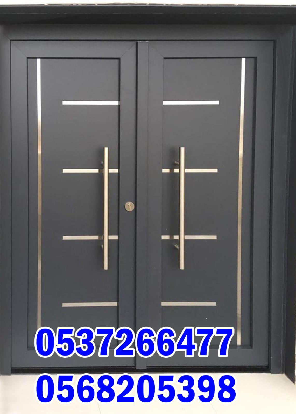 Modern Doors
