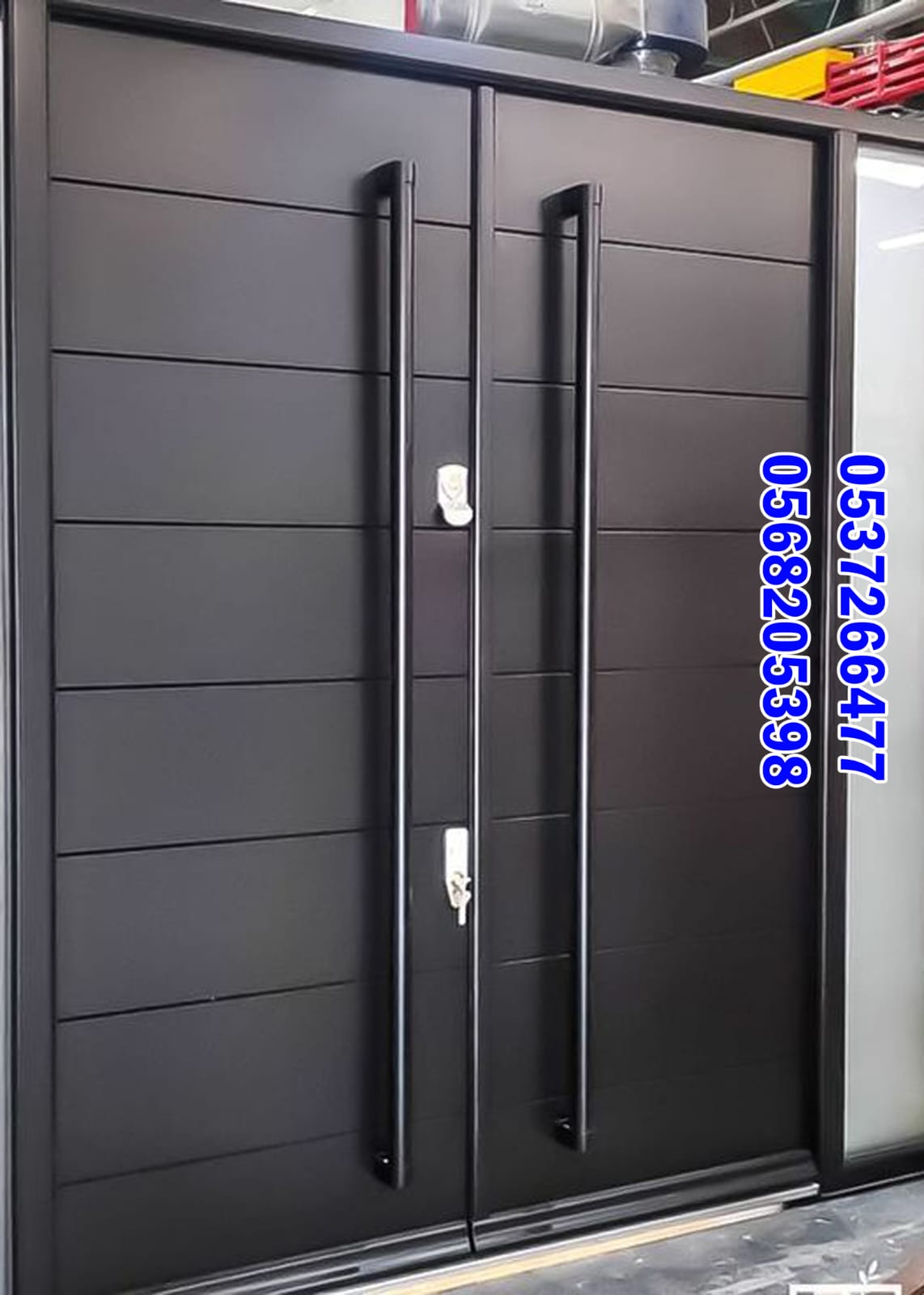 Sleek Modern Doors